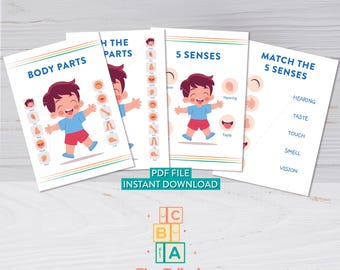 Hojas de trabajo con actividades sobre las partes del cuerpo y los 5 sentidos para niños pequeños y preescolares / Impresiones artísticas / Ciencia / Imprimibles digitales / Educación
