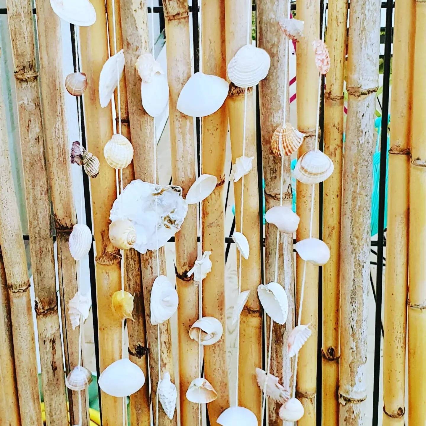 Décoration Murale Bohème avec Des Coquillages et Bois Flottant