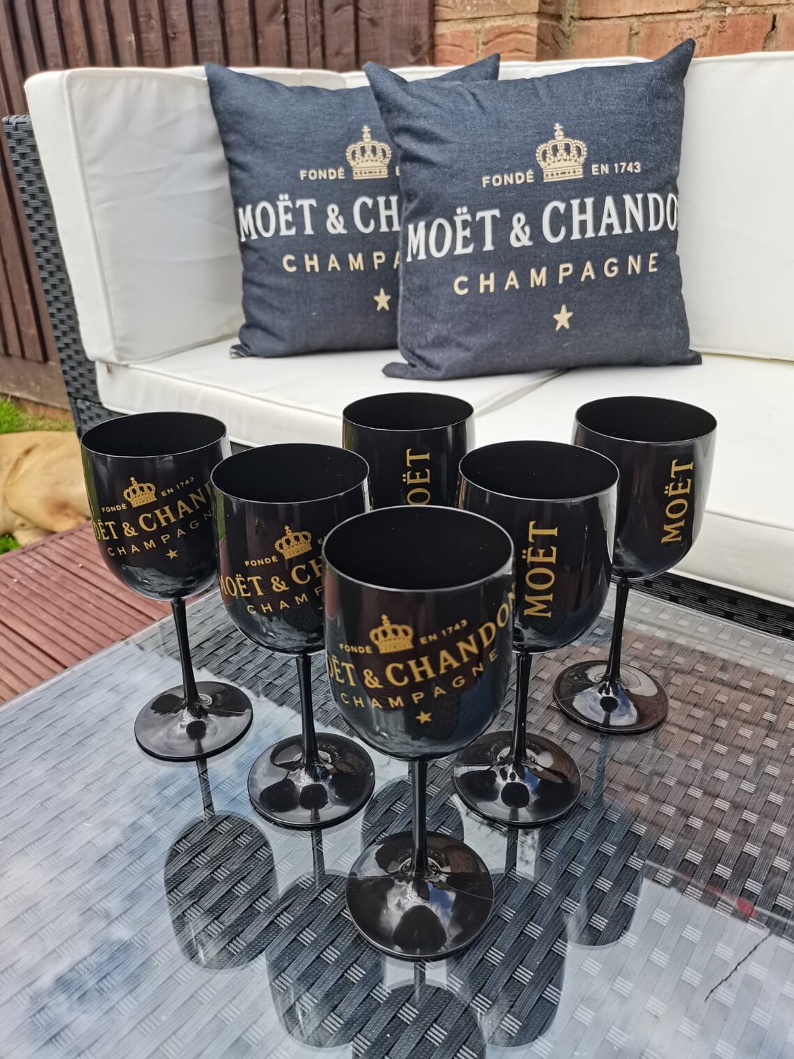 Moet & Chandon Acrylic Outdoor/picnic Glasses Etsy