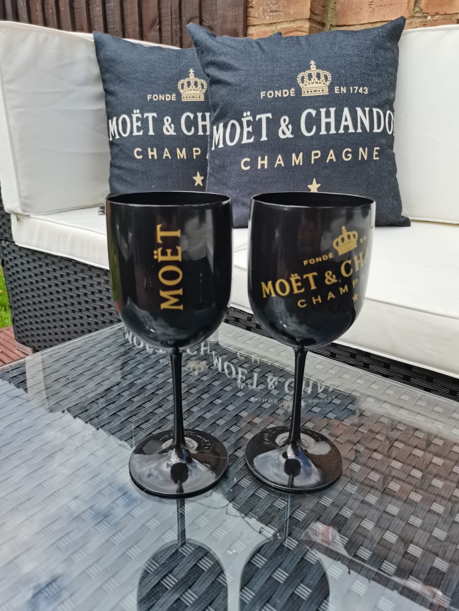 Moet & Chandon Acrylic Outdoor/picnic Glasses Etsy