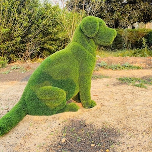 Animal Topiary Green Sitting Dog Is Made Of Fibreglass And Artificial Turf For Home, Garden And Outdoor image 1