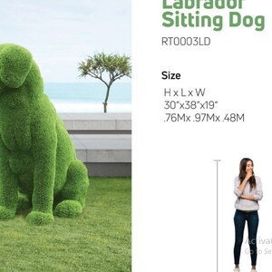 Animal Topiary Green Sitting Dog Is Made Of Fibreglass And Artificial Turf For Home, Garden And Outdoor image 6