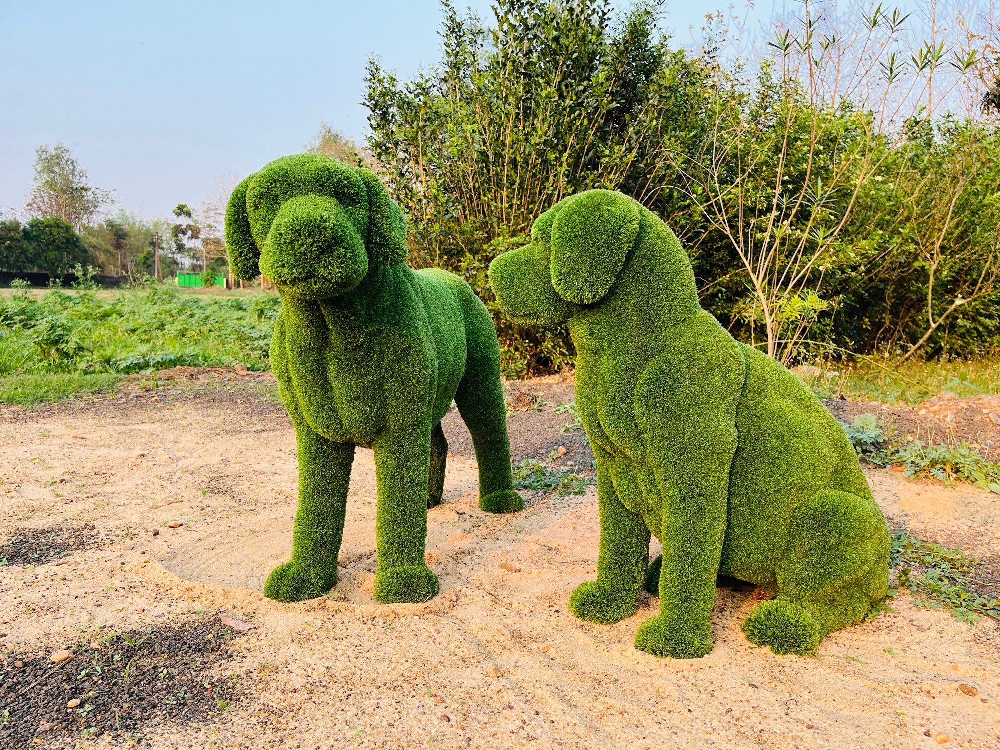 Animal Topiary Green Dog Pair is Made of Fibreglass and Artificial Turf