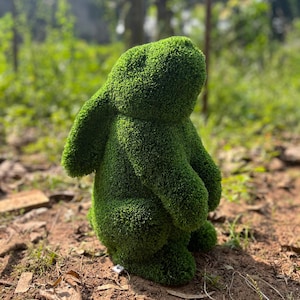 May include: A green, moss-covered rabbit statue with upright ears and a seated posture. The sculpture has a textured surface, and is placed outdoors on the ground, surrounded by greenery.
