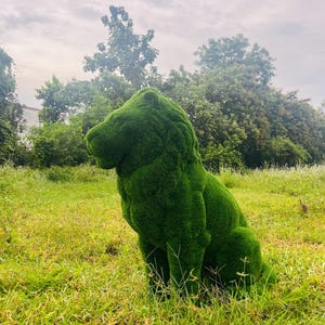 Animal  Topiary Green Sitting Lion Is Made of Fibreglass And Artificial Turf For Home, Garden And Outdoor.