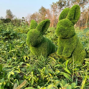 Animal topiary green rabbit bunny Pair is made of Fibreglass and artificial Turf for home, garden and outdoor.