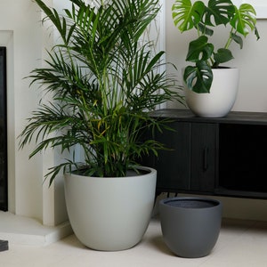 May include: Three contemporary plant pots in a living room. A large, pale grey pot contains a tall palm. A white pot with a Monstera plant sits on a black cabinet. A smaller, dark grey pot is on the floor.