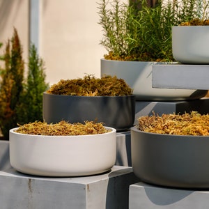 Tapered Shallow Type Plant Pot-S' SRL (Black) – MELLOWIST