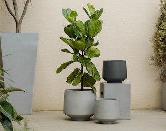 Indoor/Outdoor Large Nordic Minimalist Light Cement/ Concrete Lightweight Round Planter Pot - 15, 11 inch - Fiddle Fig Ficus/Rubber Burgundy