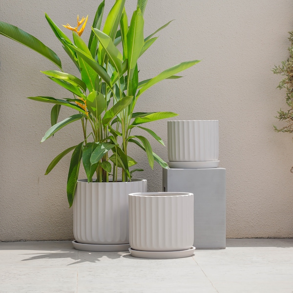 Indoor/Outdoor Large Nordic Minimalist Fiberstone Lightweight Round Planter Pot w/ Saucer - 16, 13, 11 inch Matte Finish - Suitable for Palm