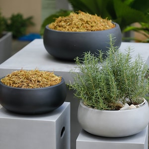Indoor/Outdoor Large Nordic Minimalist Light Cement/Concrete Lightweight Round Centerpiece Bowl Planter Pot - 17, 13 in - Exotic Foliage