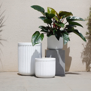 May include: Three white planter pots with a ribbed design. The largest pot is on the left, the smallest pot is on the right, and the middle pot is on a grey pedestal. A green plant with red stems is in the smallest pot.