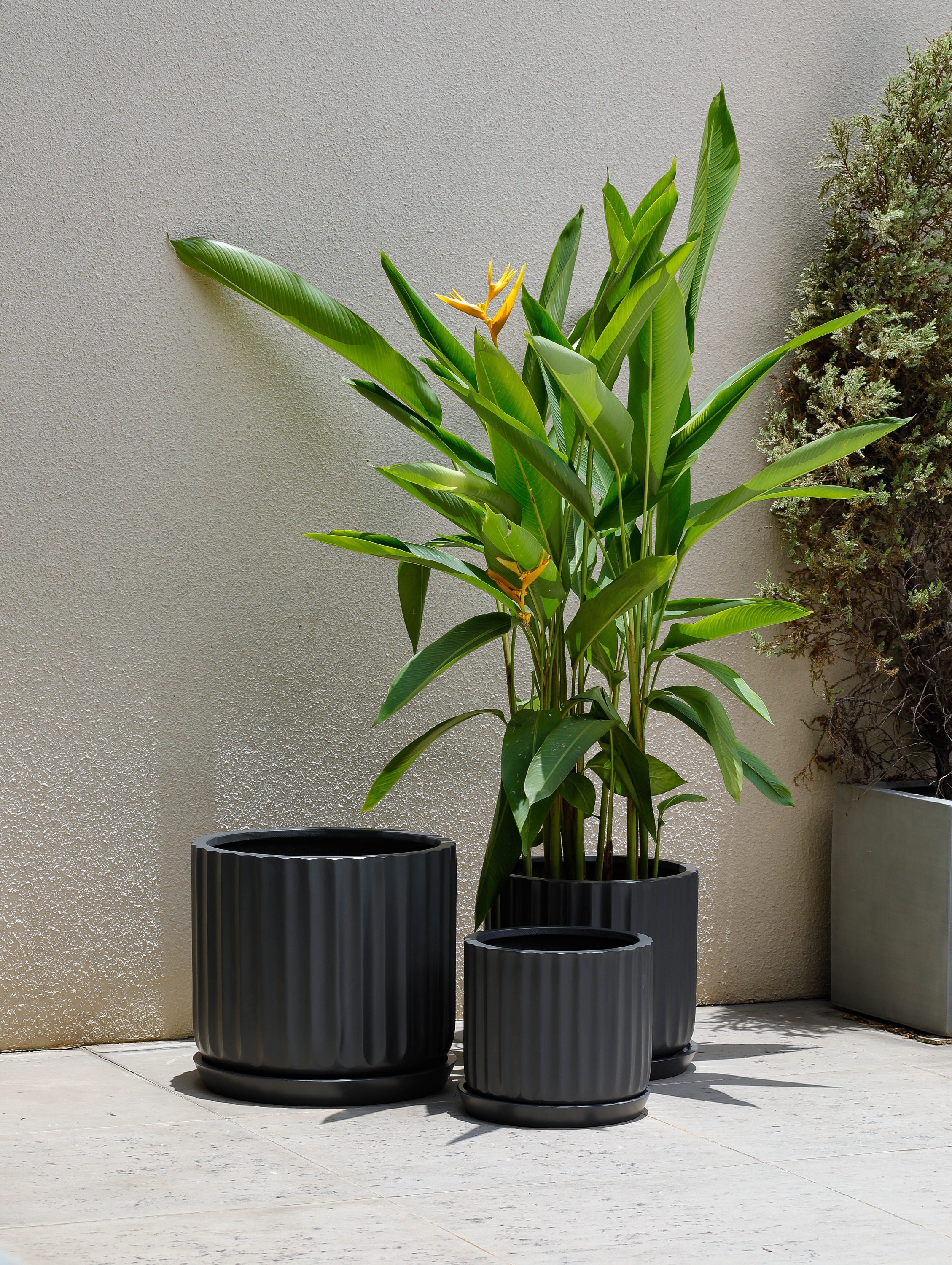 Indoor/Outdoor Large Nordic Minimalist Fiberstone Lightweight Round Planter Pot w/ Saucer - 16, 13, 11 inch Matte Finish - Suitable for Palm