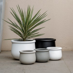 May include: A set of five white, gray, and black ceramic planters with a green plant in the largest planter.