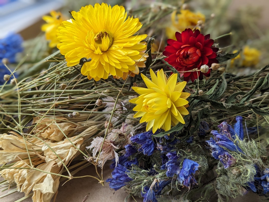 Dried Flower Wreath Making Kit Wild Flowers Creative Floral - Etsy UK