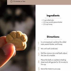DIY Dog Treats Recipe Book: Healthy Homemade Treats Cookbook PDF for ...