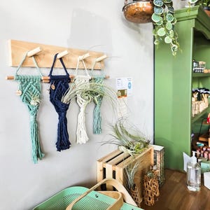 Macrame Air Plant Hanger