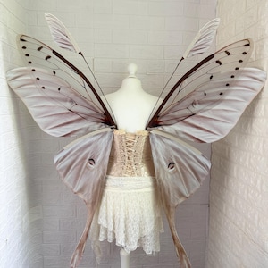 May include: A pair of large, translucent moth-style wings featuring a cream and brown gradient with dark vein patterns and circular eye-spot markings, attached to a cream-colored corset with lace-up detailing and a matching layered lace skirt.