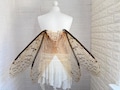 Beige Translucent Fairy Wings, Plastic Costume Cosplay Accessory