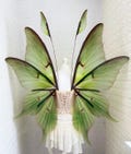 Plastic  Green Luna Moth Wings, Forest Fairy Costume, Cosplay