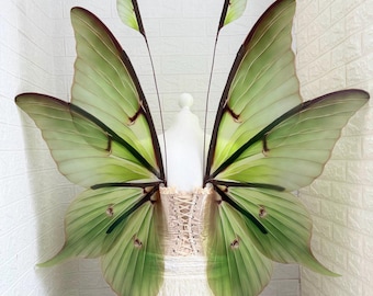 Plastic  Green Luna Moth Wings, Forest Fairy Costume, Cosplay