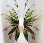 Fairy Wings
