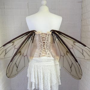 May include: A cream-colored corset with a lace-up back and a white tiered skirt. Attached are large, translucent fairy wings with brown edging and delicate vein detailing. The wings are displayed on a mannequin.
