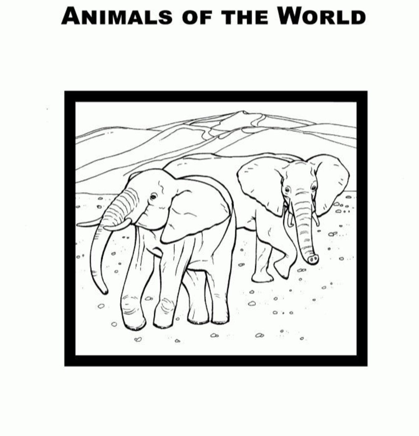 Animals of the World Coloring Pages | Etsy