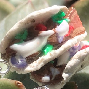 Steak Taco Earrings