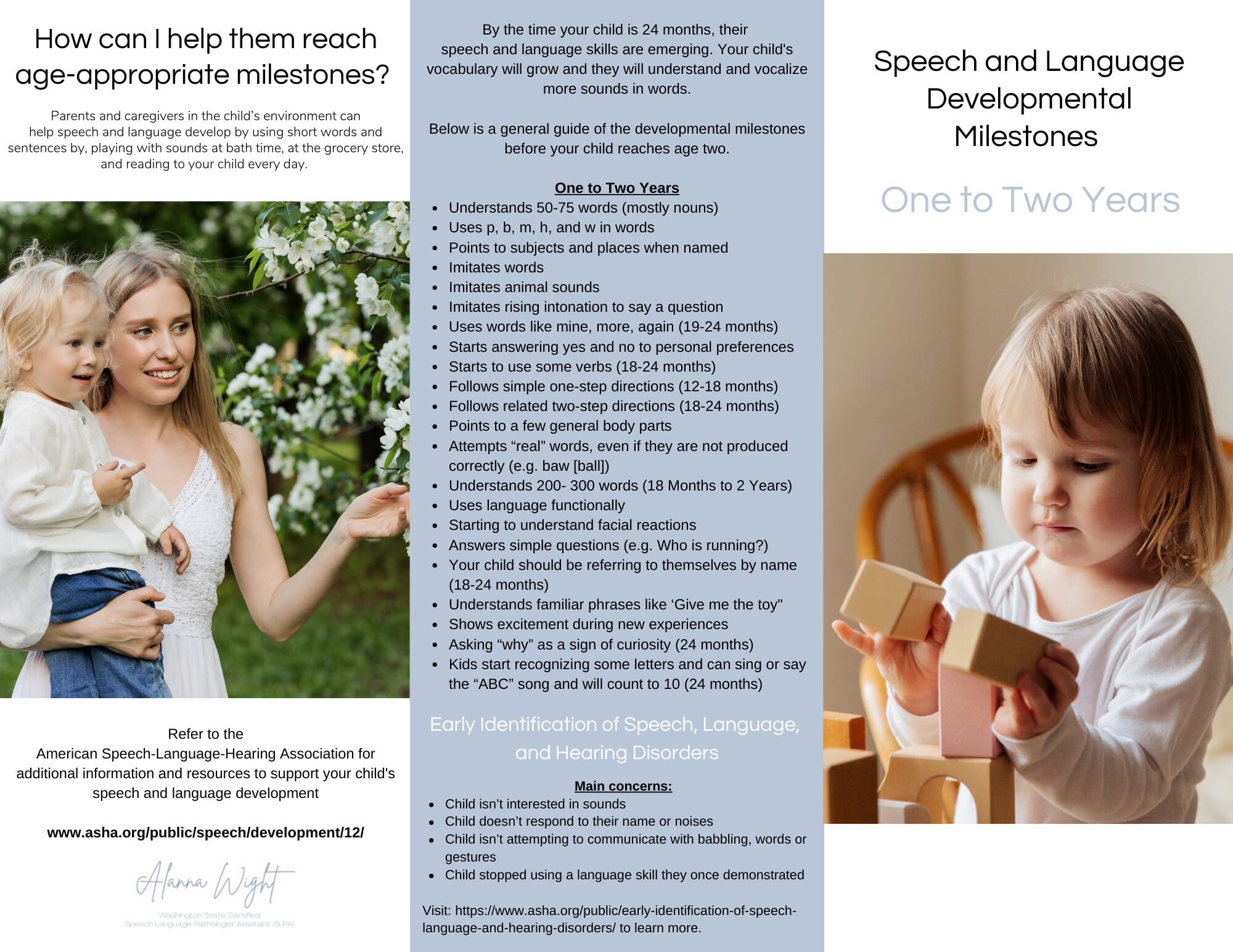 Speech and Language Developmental Milestones 12 Years Etsy.de