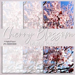 Kirschblüten-Digitalpapier | Rosa Blumenhintergrund | Frühlingsblume JPG | Sakura-Textur für Bastelarbeiten, Scrapbooking und Einladungen