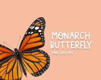 Monarch Butterfly Clipart, Boho Monarch Butterfly Clipart PNG, Watercolor Monarch Butterfly Clipart Digital File, Transparent Background