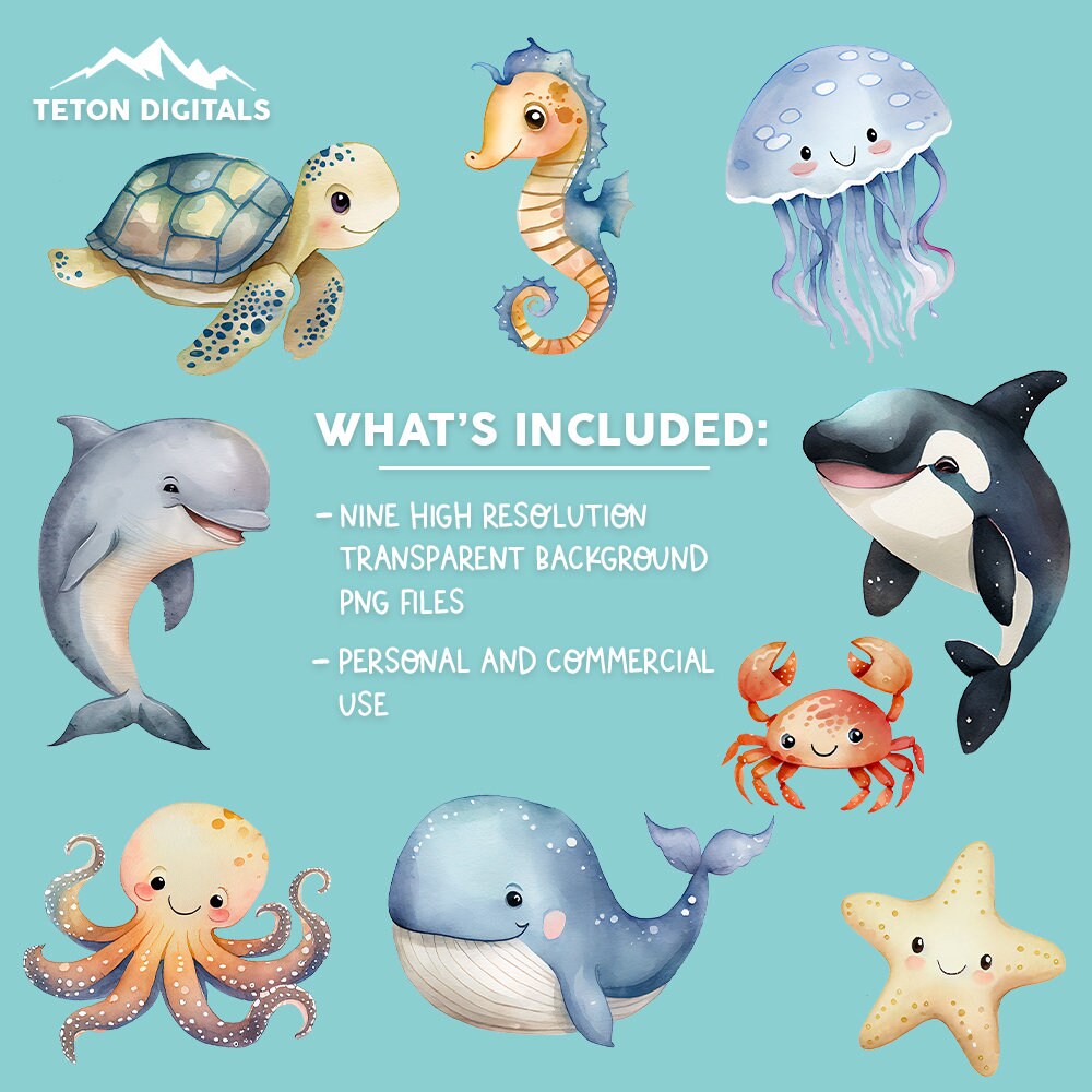Ocean Animal Clipart PNG Bundle Cute Ocean Animals Clipart - Etsy