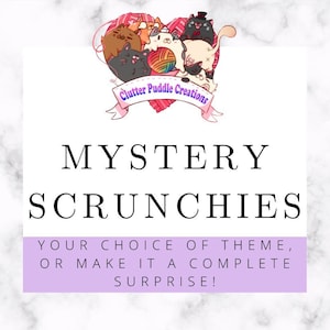 Mystery Scrunchie, Anime Hair Bands, Spooky Accessories, Princess Hair Ties, Assorted Ponytail Holders, Adorable Elastic, Stocking Stuffer