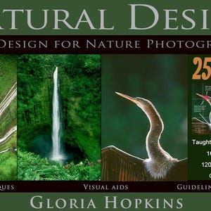 DISEÑO NATURAL Diseño de imágenes para fotógrafos de naturaleza, libro de fotos, diseño de fotografías, aprender fotografía, arte fotográfico, fotografías artísticas, libro de arte