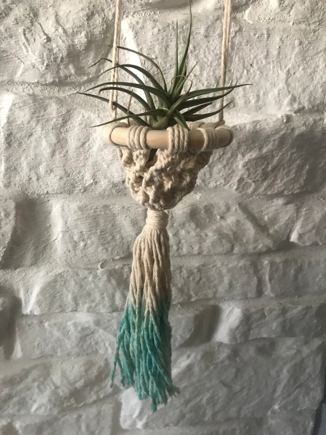 Makramee Ampel mit echter Pflanze Tillandsia Luftpflanze Etsy.de