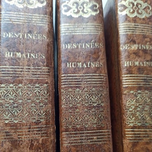 Des Compensations Dans Les Destinees Humaines Azais.Rere books,philosophy