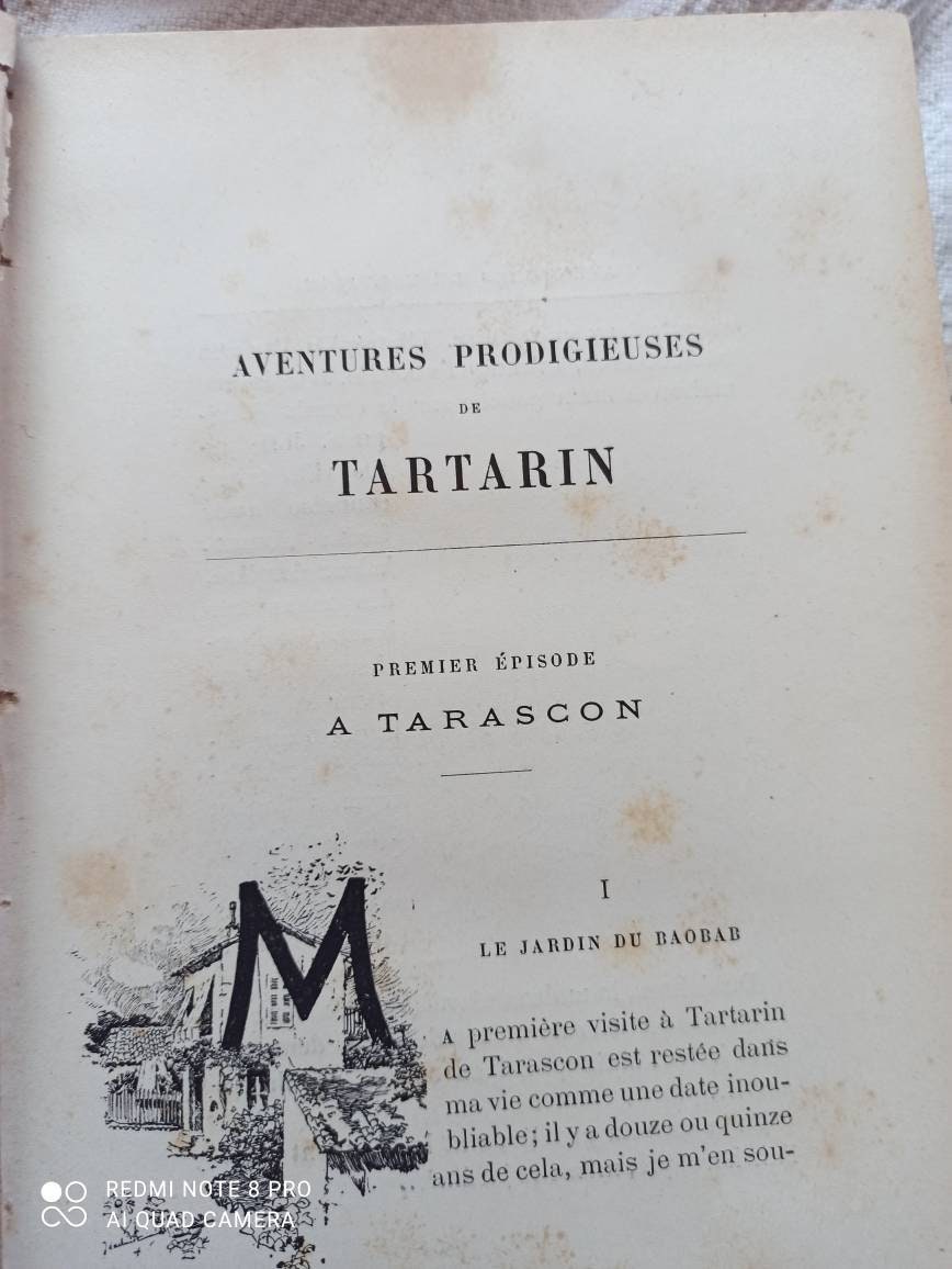 Aventures prodigieuses de Tartarin de Tarascon Alphonse Daudet 1887, antiquarian book, decorative book.Old illustrations.