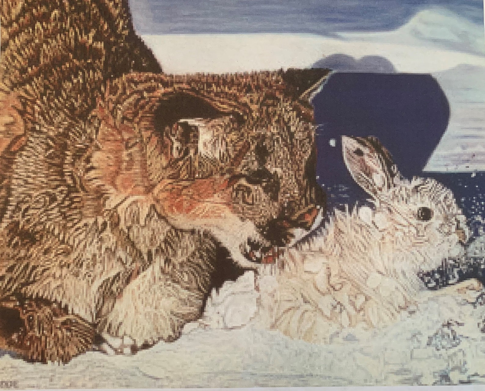 Wildlife Mountain Lion Chasing Rabbit - Etsy