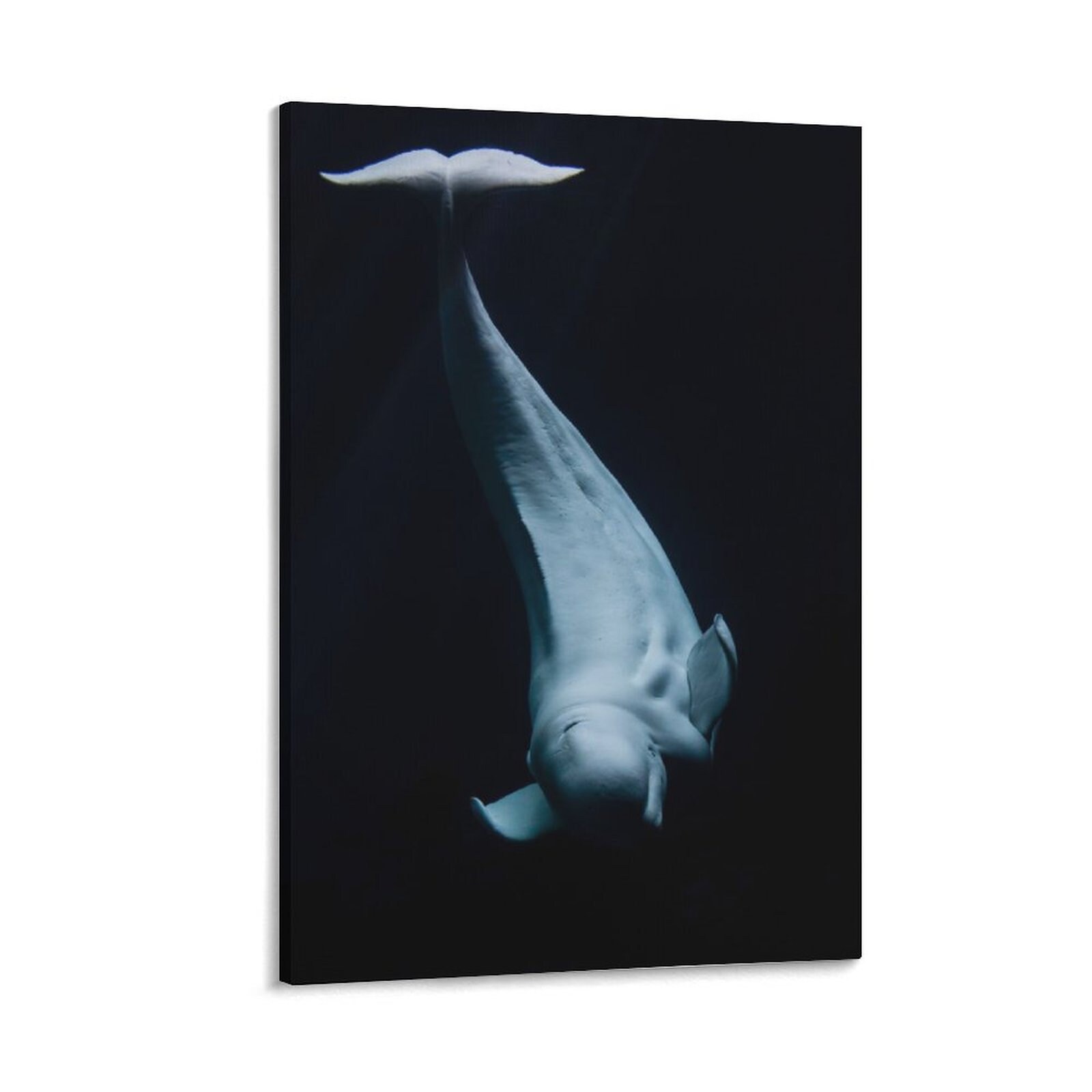 Whale Oil for sale Only 3 left at 65