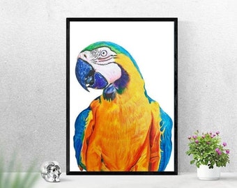 A3 Parrot - Fine Art Print ( EXCLUSIVE )