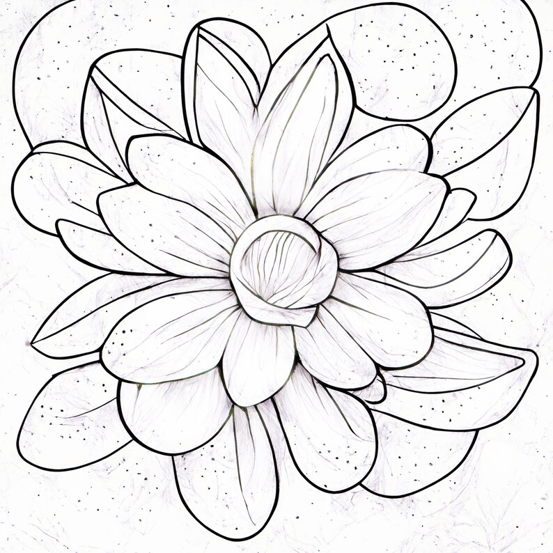 Printable Floral Coloring Sheets Coloring Pages Adult Etsy