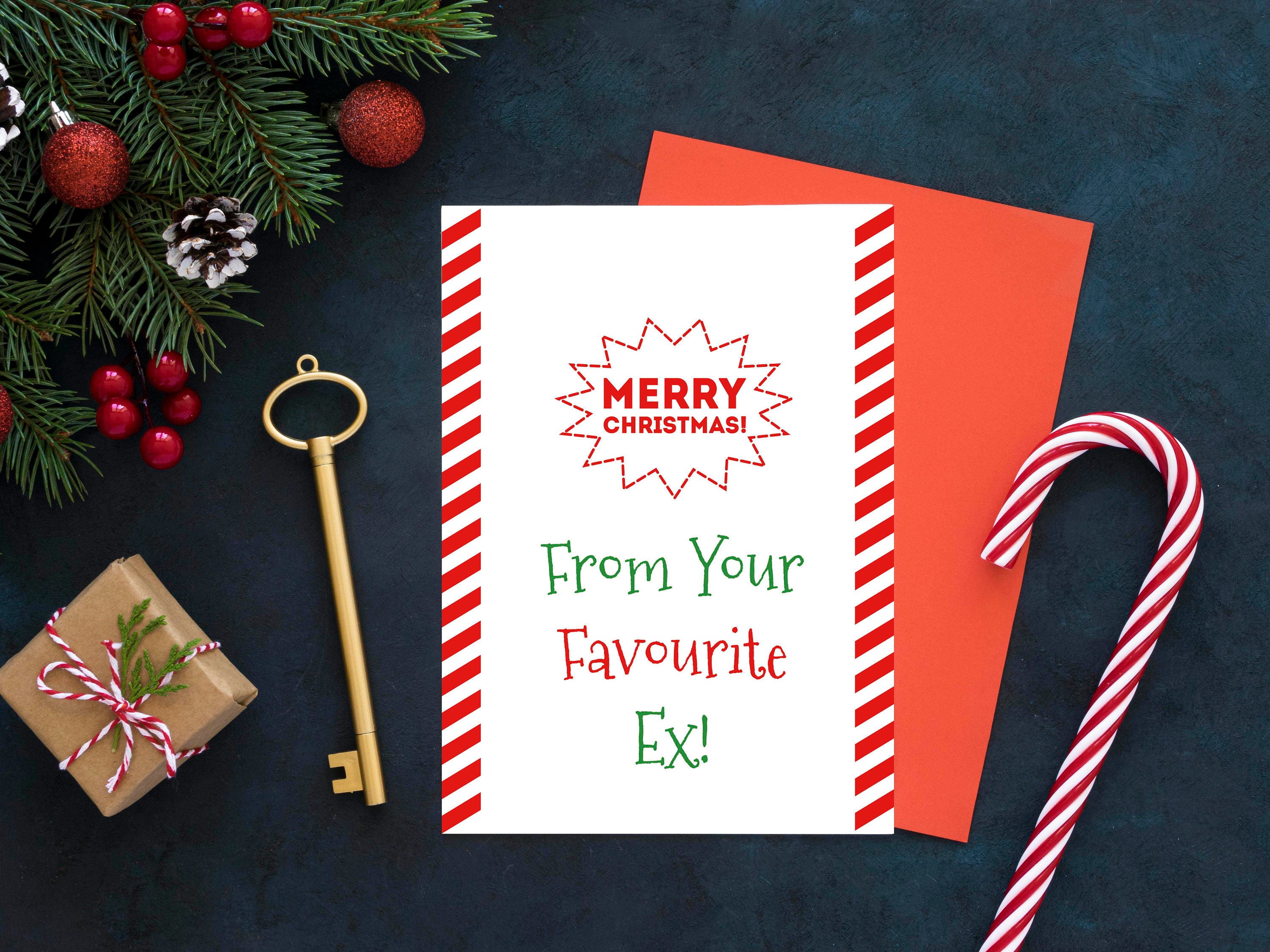 Digital Christmas Card, Funny Christmas Card, Printable  display picture 3