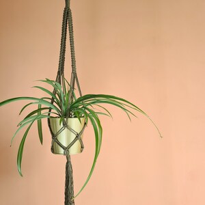 Macrame plant hanger image 6