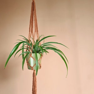 Macrame plant hanger image 5