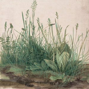 Gran pieza de césped de Albrecht Durer, pintura de obra de arte Vintage, Kit de pintura por números, arte de decoración artesanal