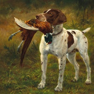 May include: A painting depicting a German Shorthaired Pointer with brown and white markings, carrying a pheasant. The dog is in a grassy area, with a backdrop of trees. The artwork is signed and dated, showcasing a hunting scene.