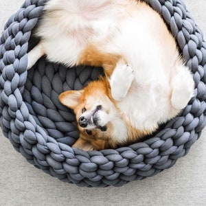 May include: A small dog, possibly a corgi, is lying on its back in a grey knitted dog bed. The dog is looking up at the camera with its mouth open.