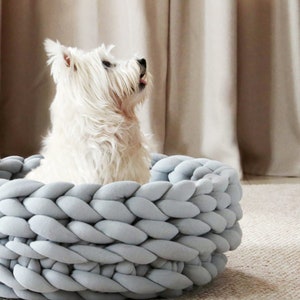 Könnte beinhalten: Ein weißer Hund sitzt in einem runden, geflochtenen, hellblauen Hundebett.