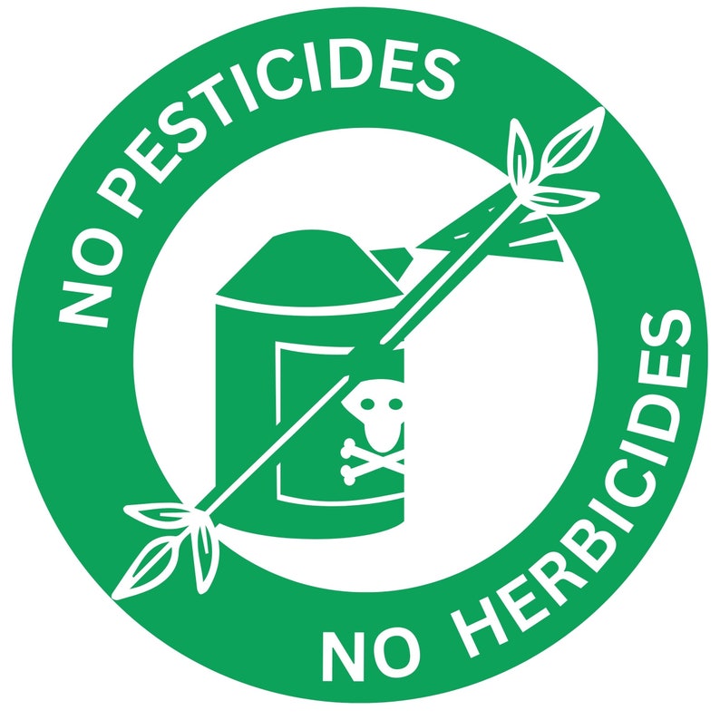 Harina de plátano verde orgánica, superalimento, prebióticos en polvo para batidos, 14 oz. imagen 9